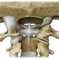 cruciform ligament atlas